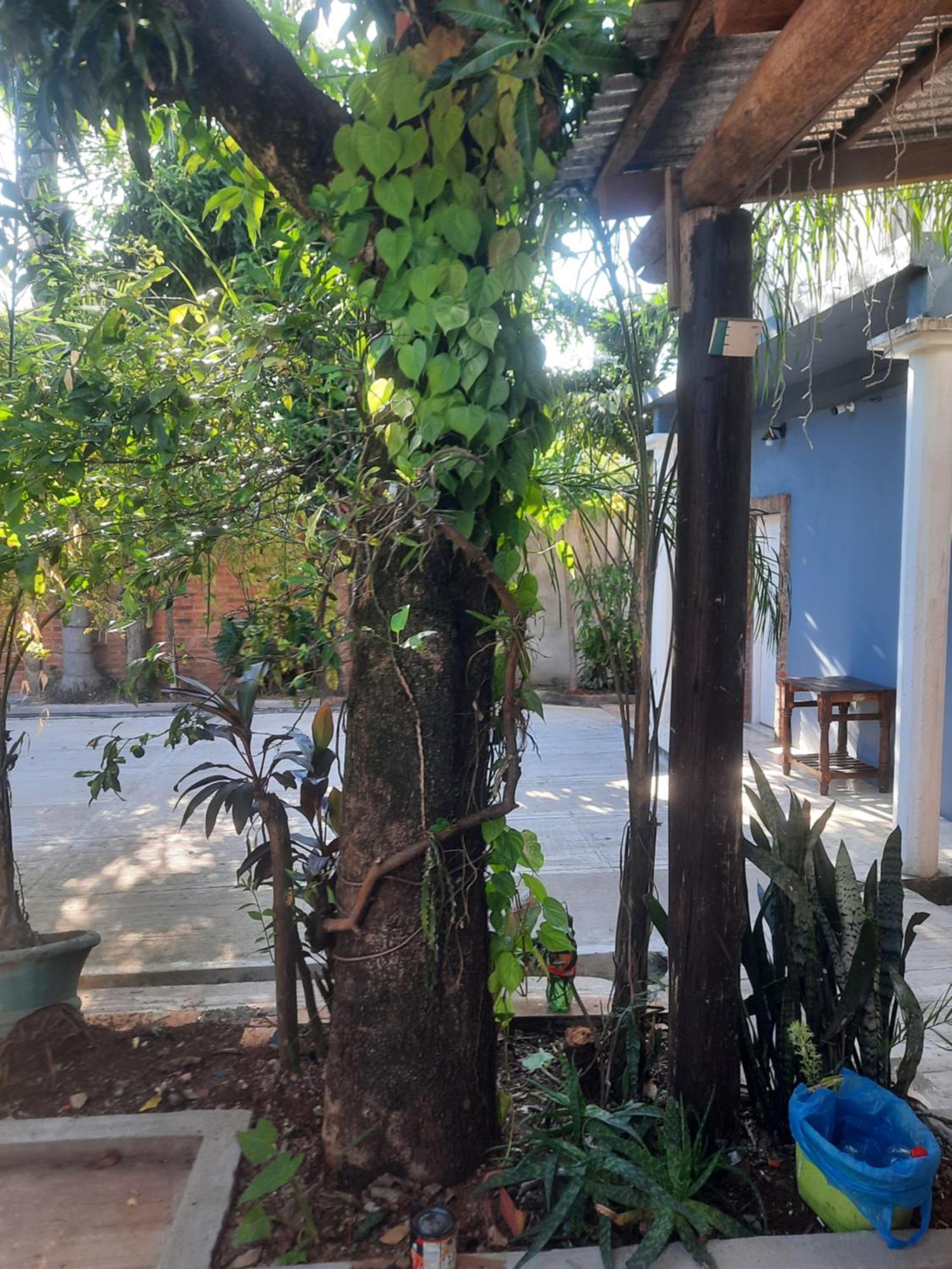 La Posada De Dante Puerto Iguazú Exterior foto